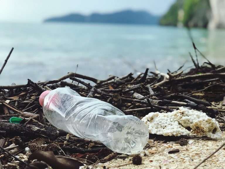 Abbandono Rifiuti: è illecito penale. close up photo of plastic bottle