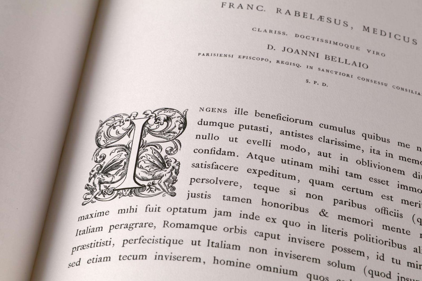 close up shot of text on a book